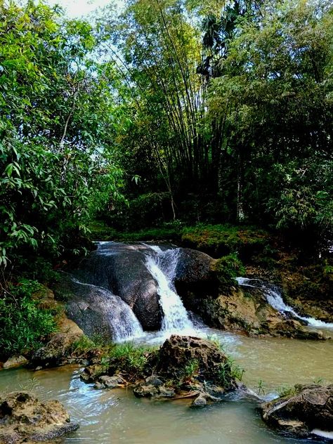 Sungai di trngah hutan bambu indonesia Indonesia, Water, Quick Saves