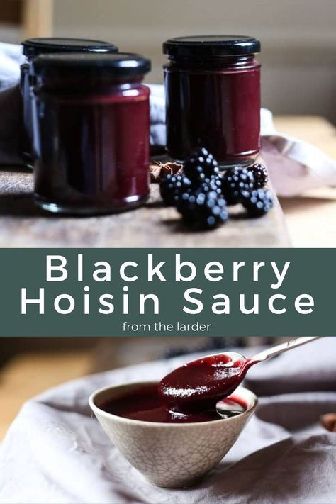 This Blackberry Hoisin Sauce is beautifully sweet and tangy with so many layers of flavour and gluten-free to boot. #FromTheLarder #GlutenFree #HoisinSauce #Homemade #Chinese #ForDuck Blackberry Hoisin Meatloaf, Bourbon Party, Gluten Free Sauces, Homemade Chinese, Homemade Ketchup, Gluten Free Sides, Spiralizer Recipes, Homemade Pancakes, Dinner Party Recipes