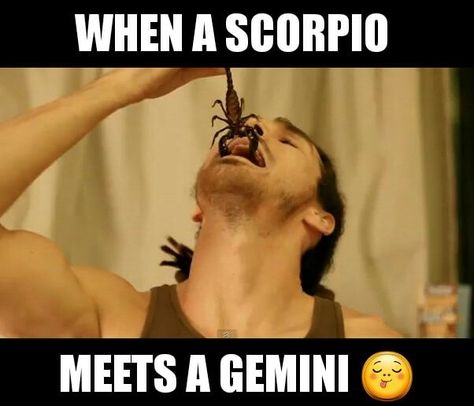 when a scorpio meets a gemini zodiac meme Gemini X Scorpio, Scorpio And Gemini, June Gemini, Gemini Zodiac Quotes, Zodiac Signs Pictures, Gemini And Scorpio, Gemini Traits, Gemini Quotes, Zodiac Signs Chart