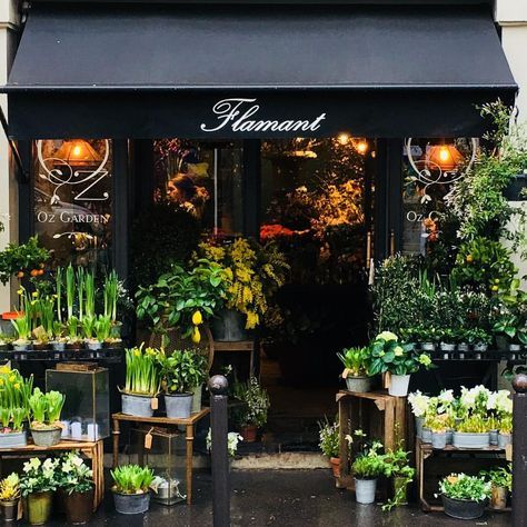 9 Likes, 2 Comments - Jude Cottingham Sieber (@emilyjoubert) on Instagram: “One of my favorite stops while in Paris... great inspiration. #flamant” Flower Store Design, Flower Shop Interiors, Shop Name Ideas, Flower Shop Decor, Flower Shop Design, Flower Store, Shop Name, Flower Bar, Florist Shop