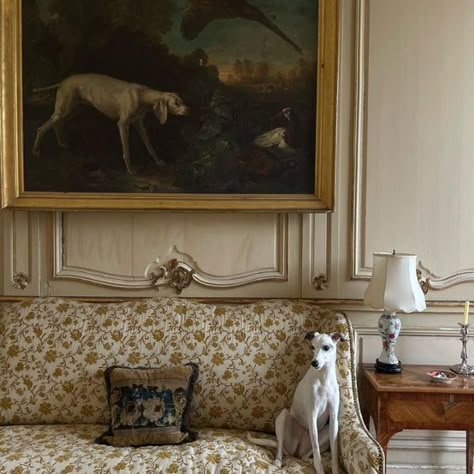 Old Money House Aesthetic, Modern Interior Aesthetic, Old Money Dog, Room Interior Aesthetic, Grey Whippet, Ralph Lauren Living Room, Interior Old Money, Old Money Style Aesthetic, Old Money Living Room