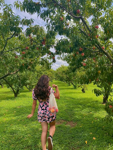 summer vibes, cute outfit, fruit picking Peach Picking Outfit, Fruit Picking Outfit, Girls Hangout, Peach Picking, Hangout Ideas, Peach Orchard, Fruit Picking, Dream Family, Cute Outfit