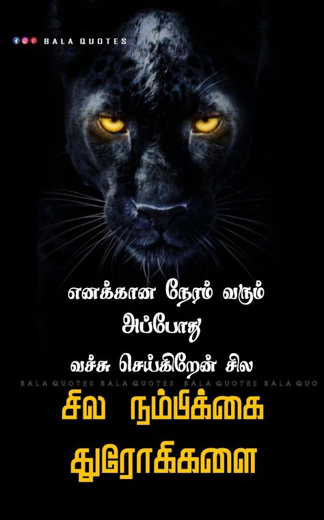 Accept The Reality Quotes, Fake Relationship Quotes, Cute Picture Quotes, Quotes Tamil, Cute Motivational Quotes, Word Art Quotes, Hindu Quotes, Tamil Motivational Quotes, Worthy Quotes