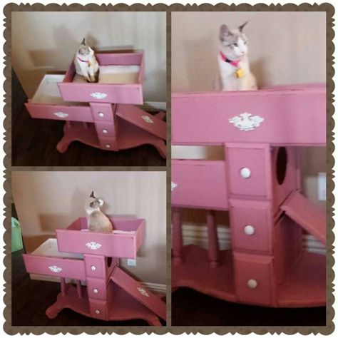 Make a cat climber out of an old dresser!! Cat Climber, Repurposed Dresser, Diy Pet Toys, Diy Cat Tree, Cat House Diy, Cats House, Diy Cat Toys, Cats Diy Projects, Outdoor Cat House