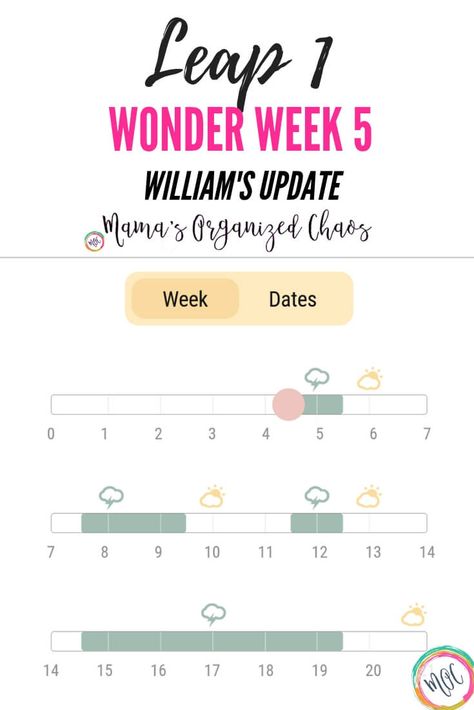 Wonder Weeks Leap 1 – William’s Experience Wonder Weeks Leaps, Newborn Baby Hacks, Baby Developmental Milestones, Wonder Weeks, Toddler Parenting, Baby Play Activities, Newborn Hacks, Developmental Milestones, Organized Chaos