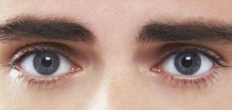 I selected this image because I wanted to see an example of male eye especially looking at the eyebrows.  Eyes Grey Eyes Men, Pictures Of Eyes, Mens Eyes, Men Eyes, Man Eyes, Eyes Male, Eyes Images, Pair Of Eyes, Eye Images