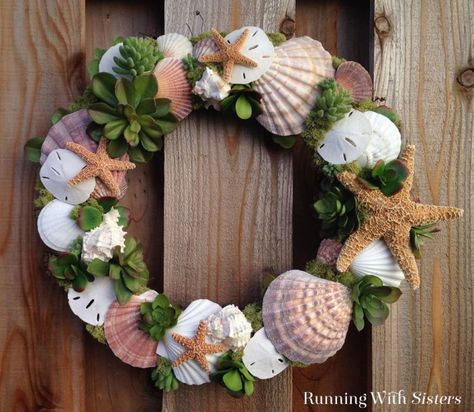 Succulents Wreath, Succulent Wreath Diy, Seashell Projects, Seashell Wreath, Shell Wreath, Succulent Wreath, Beach Wreath, Sea Crafts, Shell Decor