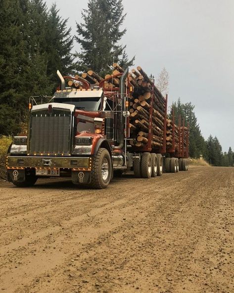 logging trucks and more on Instagram: “Nice looking unit thanks @duell05  Go follow for more #kenworth #W900 #customtrucks #trucksdaily #diesel #trucks #trucking #equipment…” Hunting Truck, Log Truck, Logging Trucks, Truck Mechanic, It’s A Wonderful Life, Kenworth W900, Logging Equipment, Kenworth Trucks, Big Rig Trucks