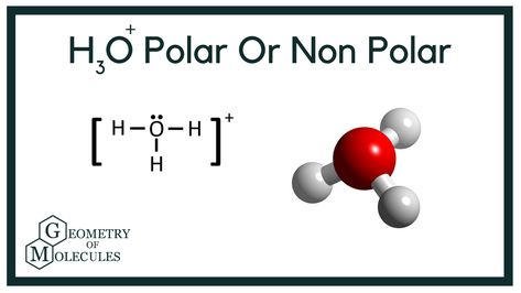 #HydroniumPolarity​ #Hydronium​ #H3O​+ #GeometryOfMolecules​ #chemistry Lewis Structure, Ap Chemistry, First Look, Chemistry, Geometry, Look At, Education, In This Moment, Quick Saves