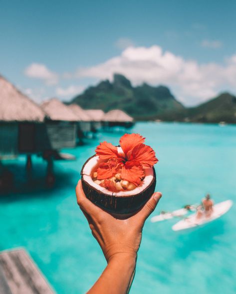 Bora Bora, Our Four Seasons Resort Experience – salty luxe Resort Photography Ideas, Resort Vibes Aesthetic, Bora Bora Food, Bora Bora Aesthetic Wallpaper, Coconut Asethic, Tahiti Aesthetic, Aesthetic Coconut Pictures, Bora Bora Aesthetic, Summer Aesthetic Coconut