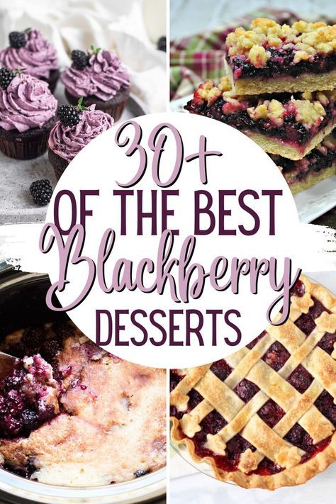 Blackberry Recipes Easy Simple, Best Blackberry Recipes, Things To Make With Blackberries, Desserts With Blackberries, What To Do With Blackberries, Blackberry Recipes Savory, Canned Blackberry Pie Filling, Wild Blackberry Recipes, Blackberry Pie Filling Recipes