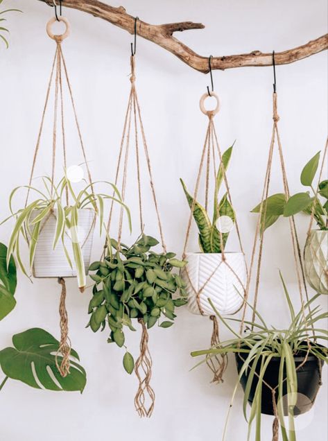 Indoor Plant Wall, Hanging Planters Indoor, Hanging Plant Wall, Planter Indoor, Plant Pot Holders, Hanging Plants Indoor, Hanging Plant Holder, Handmade Plant, Decoration Plante