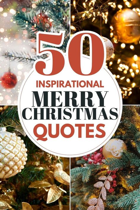 50 inspirational merry Christmas quotes to make your Christmas Cards super heartwarming and meaningful. Christmas Inspirational Quotes, Christmas Posts, Best Christmas Quotes, Christmas Quotes Inspirational, Merry Christmas Quotes, Christmas Surprise, 50 Christmas, Country Decor Rustic, Christmas Post