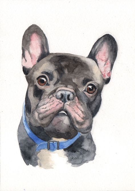 These adorable French Bulldog puppies are sure to put a smile on your face. #frenchbulldog #puppies . #Watercolor_French_Bulldog #French_Bulldog_Watercolor #French_Bulldog_Cartoon #Bichon_Frise_Art French Bulldog Watercolor, Bichon Frise Art, French Bulldog Cartoon, Grey French Bulldog, Realistic Animal Drawings, Bulldog Clipart, Royal Pet Portrait, Dog Watercolor Painting, Pet Portrait Paintings