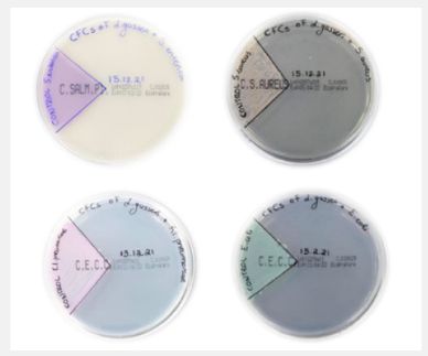 Lactic acid bacteria (LAB) play an important role as natural food preservatives. However, the characterization of the variety of their metabolites is limited. The aim of this study was to determine specific metabolites produced by Lactobacillus gasseri ATCC 33323 by an optimized liquid chromatography with an ultraviolet/diode detection (HPLC-UV/DAD) method and to investigate their potential antimicrobial activity against specific food pathogens Klebsiella Pneumoniae, Lactobacillus Gasseri, Benzoic Acid, Food Science, European Food, Lactic Acid, Diode, Natural Food, Probiotics