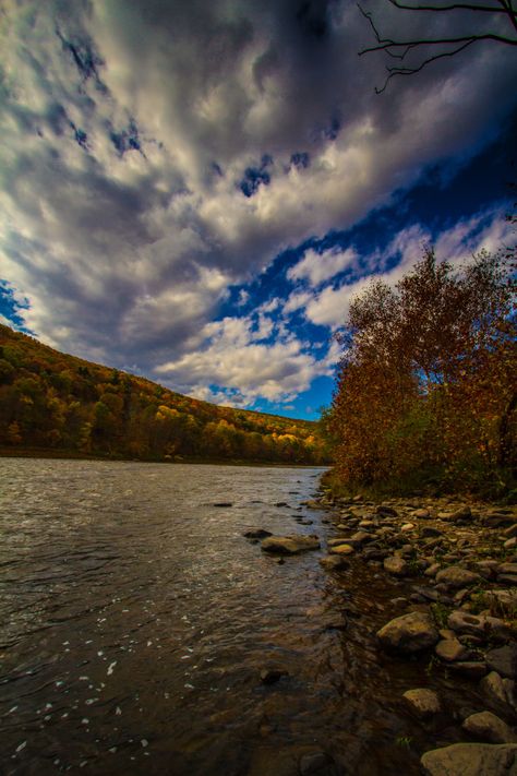 9. Delaware River Delaware River, New York State, Water Lilies, Delaware, The View, You Must, The Incredibles, New York, Tattoos