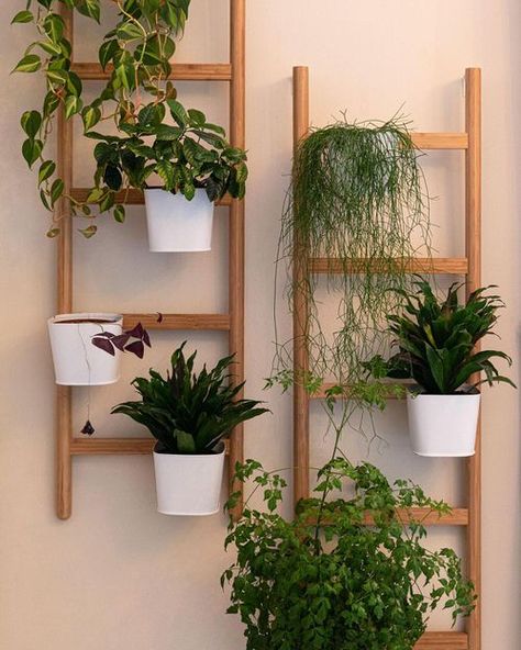 23 Creative & Modern Indoor Plant Wall Decor Ideas Wire Wall Basket, Indoor Plant Wall, Plant Wall Decor, White Planters, Plant Basket, Mini Plants, House Plants Decor, Wall Garden, Mural Floral