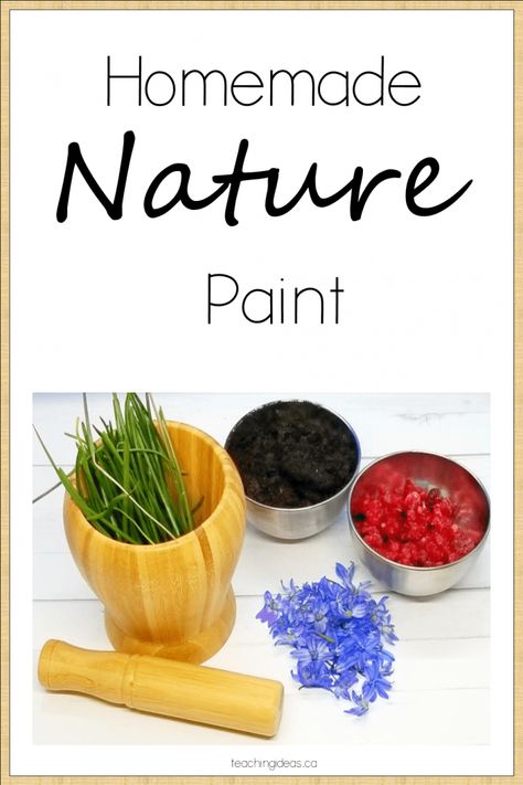 Homemade Paint from Nature for Kids - Hands-On Teaching Ideas Homemade Paint For Kids, Paint From Nature, Nature For Kids, Mindfulness Activities For Kids, Paint For Kids, Nature Games, Nature Paint, Outdoor Learning Activities, Forest School Activities