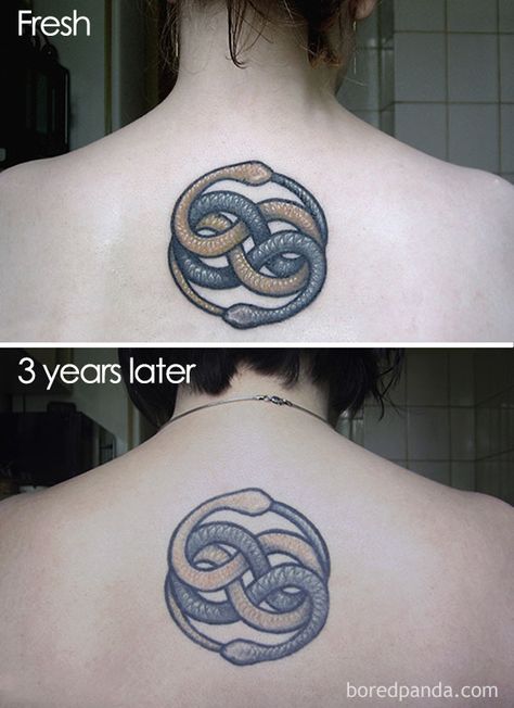 Aged Tattoo, Tattoos Over Time, Tattoo Aging, Morningstar Tattoo, Tattoos Change, Healed Tattoo, Tattoo Painting, Small Tattoo Placement, Small Tattoos With Meaning