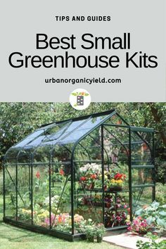 I've done some research on 8 of the best small greenhouse options for any location or budget. So, if you want to protect your plants from the cold or you just want to try growing a more extensive variety of plants, a small greenhouse is for you. Small Home Greenhouse Ideas, Cute Small Greenhouses, Small Space Greenhouse, Small Garden Greenhouse Ideas, How To Make Your Own Greenhouse, Small Backyard Greenhouse Diy, Small Greenhouse Ideas Diy, Green House Ideas Diy Cheap, Tiny Greenhouse Diy