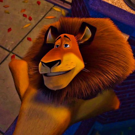 Lion From Madagascar, Alex The Lion Madagascar, Madagascar Lion, Alex Madagascar, Madagascar 2005, Alex The Lion, Fire Pfps, Madagascar Movie, Lion Icon