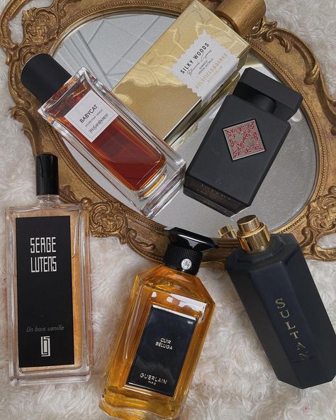 Sensual Vanillas: Babycat Silky Woods @goldfield_and_banks_australia Absolute Aphrodisiac @initioparfumsprives Un Bois Vanille @sergelutens (very underrated) Cuir Beluga Sultan @royalcrownperfume Spot any favorites? . . . . . . . . . . . . . . . . . . Luxury, womens perfume, layering combo, beautiful perfumes, perfume suggestion, perfume content, perfume collection, perfume addict, designer perfume, beauty #Perfume #perfumecollection #perfumeaddict #perfumelovers #perfumereel #perfumere... Absolute Aphrodisiac, Content Perfume, Perfume Content, Perfume Layering, Collection Perfume, Designer Perfume, Womens Perfume, Beautiful Perfume, Perfume Design