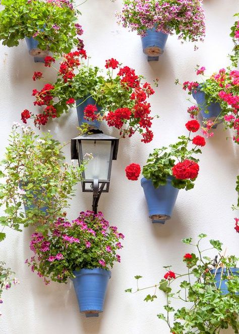 Vertical Planting, Spanish Courtyard, Gutter Garden, Spanish Garden, Vertical Vegetable Garden, Potted Flowers, Vertical Garden Diy, Vertical Gardens, Walled Garden