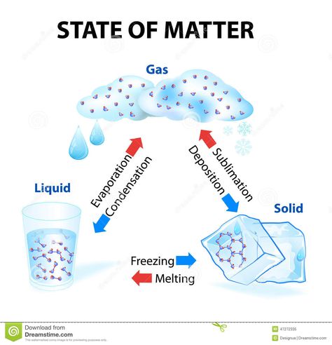 Phase Changes Of Matter, Changes In Matter, State Of Matter, Matter Activities, Biochemistry Notes, Science Display, Solid Liquid Gas, Ap Environmental Science, Science Anchor Charts