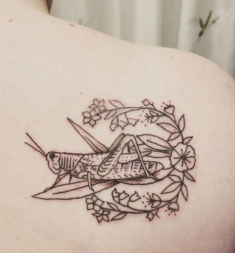 Grasshopper Tattoo Design, Grass Hopper Tattoo, Grasshopper Tattoo Cute, Cricket Tattoos, Catapillar Tattoos, Tattoo Left Arm, Grasshopper Tattoo, Cricket Tattoo, Insect Tattoos