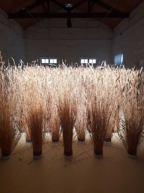 This installation is part of the artist's exhibition at the Serralves Museum, Portugal. http://www.delindro.com/ Corn Stalks, Nature Museum, Food Props, Party Rock, Winter Dinner, Scene Design, Stage Design, Event Styling, Source Of Inspiration