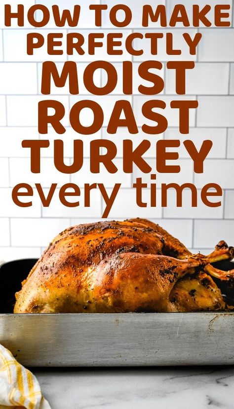 Turkey Recipe Roaster Oven, Brining Turkey, Turkey Brining, Turkey In Oven, Moist Turkey Recipes, Turkey In The Oven, Turkey Roasting, Best Thanksgiving Turkey Recipe, Brined Turkey