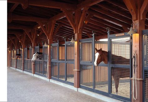 Love the openness of the stalls! Custom Horse Stalls, Horse Barn Ideas Stables, Barn Stalls, Stable Ideas, Classic Equine, Horse Barn Designs, Dream Horse Barns, Horse Barn Plans, Dream Stables