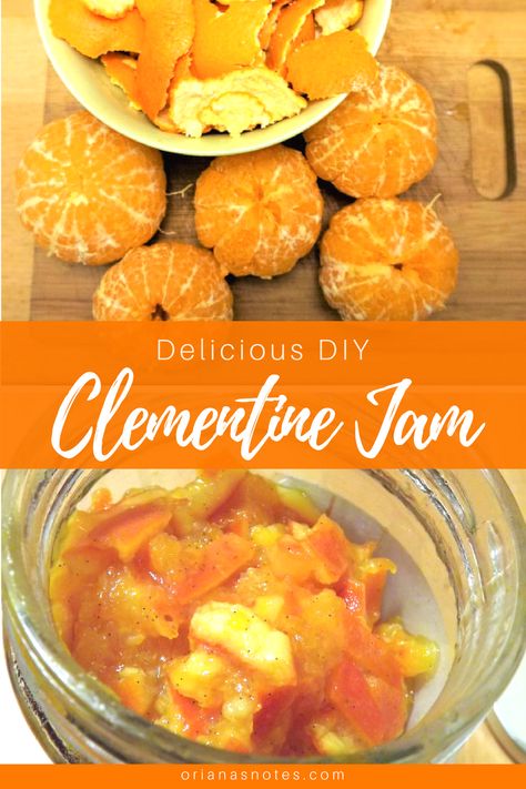 Lear to make a delicious and fruity DIY Clementine Jam to enjoy as a snack ! 🍊 Clementine Jam, Fermenting Recipes, Clementine Recipes, Mandarine Recipes, Fruit Butters, Fruit Ideas, Fermentation Recipes, Plant Based Diet Recipes, Health Ideas