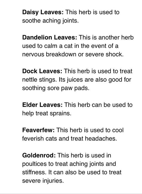 Medicine cat guide! I'll post this daily! | Warrior Cats ... Communism Propaganda, Witchcraft Potions, Warrior Cats Quotes, Cat Types, Cat Guide, Cat Medicine, Warrior Cat Memes, Warrior Cats Comics, Thumbs Up Sign