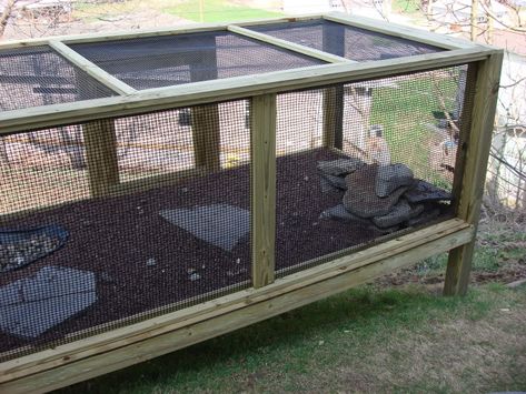 Outdoor Enclosure Outdoor Lizard Enclosure, Bearded Dragon Outdoor Enclosure, Outdoor Reptile Enclosure, Red Tail Boa, Animal Enclosures, Bearded Dragon Enclosure, Outdoor Enclosure, Bearded Dragon Habitat, Dragon Cave