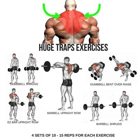 Best Traps Workout, Traps Workout Gym, Shoulder And Traps Workout Gym, Simpsons Workout, Trap Excersises, Upper Traps Workout, Trapezius Workout, Trap Workout, Traps Workout