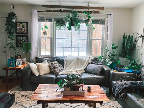 Use an old ladder to hang plants indoors Hanging Plants Above Couch, Behind Couch Plants, Plants Above Couch, Plants Behind Couch, Carpeted Room, Seattle Apartment, Behind Couch, Above Couch, Hanging Plants