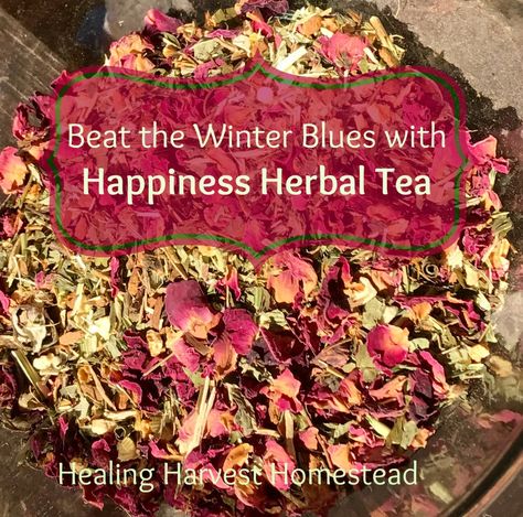 Not only is this tea great for lifting your mood, it's also beautiful! And PERFECT for Valentine's Day! Morning Herbal Tea Recipes, Loose Tea Blends, Happiness Herbs, Witchy Healing, Throat Soothing, Winter Happiness, Herbal Tea Recipes, Herbs Recipes, Witch Recipes