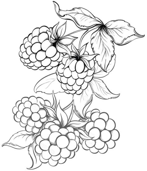 Flower And Fruit Tattoo, Strawberry Flower Drawing, Fruit Sketch Drawing, Fruit Drawings, Line Art Coloring, Fruit Drawing, Fruits Drawing, Flower Line Drawings, Flower Drawing Tutorials