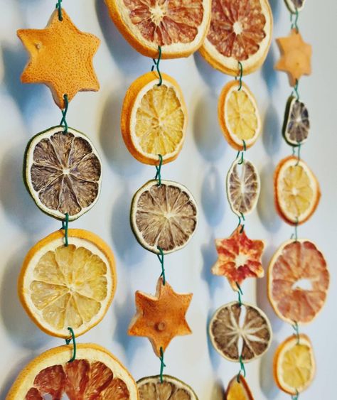 Citrus garland decoration Citrus Garland, Cottagecore Inspiration, Julkransar Diy, Rustic Victorian, June Gloom, Christmas Decs, Natural Christmas Decor, Etsy Diy, Natural Christmas