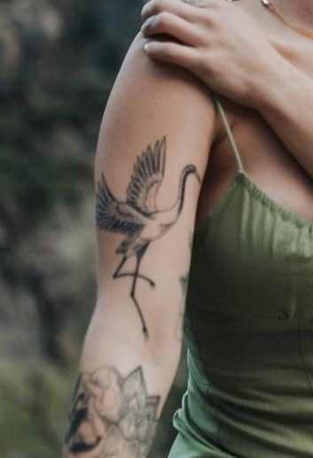 Spoonbill Tattoo, Bird Tattoos For Women Leg, Crane Tattoos For Women, Fine Line Crane Tattoo, Great Egret Tattoo, Egret Tattoo, Ibis Tattoo, Crane Back Tattoo, Two Cranes Tattoo