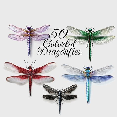 Dragonflies, Dragonfly Images, Dragonfly Photos, Watercolor Dragonfly, Dragonfly Painting, Colorful Dragonfly, Dragonfly Tattoo Design, Dragonfly Ornament, Android Wallpaper Art