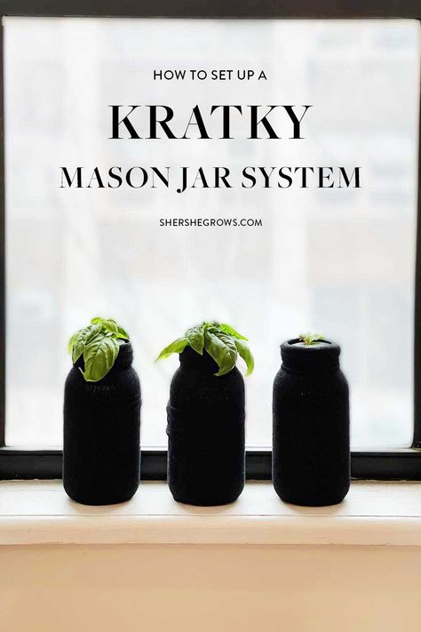 glass-jar-kratky-hydroponics Mason Jar Hydroponics Diy, Kratky Hydroponics Diy, Diy Hydroponic Garden Indoor, Mason Jar Herb Garden Indoor, Hydroponics Diy Indoor, Indoor Hydroponics System, Kratky Method, Hydroponic Gardening Diy, Hydroponic Herb Garden