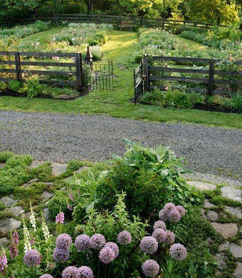 Plants Growing, Cottage Garden Design, Garden Wallpaper, Garden Care, Garden Features, Veggie Garden, Country Gardening, Farm Gardens, Garden Spaces