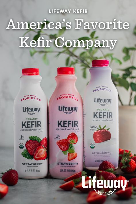 Lifeway Kefir Low-Fat Blueberry Kefir is a delicious probiotic kefir drinks that contains 25-30 billion units of probiotic cultures alive and active in every single serving. Support your gut health with America's Favorite Kefir since 1986. Delicious in smoothies, alone, or in oatmeal, cereal, baked goods, frozen desserts, entrées, and more. We're the Champagne of Dairy. 99% lactose-free. No refined or artificial ingredients of any kind. Kefir Milk, Milk Package, Kefir Drink, Oatmeal Cereal, Kefir Benefits, Filipino Snacks, Drinks Smoothies, Milk Packaging, Milk Smoothie