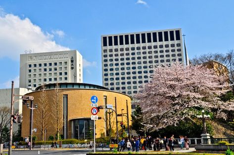 Sophia University, Japan University Aesthetic, University Of Tokyo Aesthetic, Kyoto University Aesthetic, Waseda University, Sophia University Tokyo, Apps For Teens, Semester Abroad, Uni Life