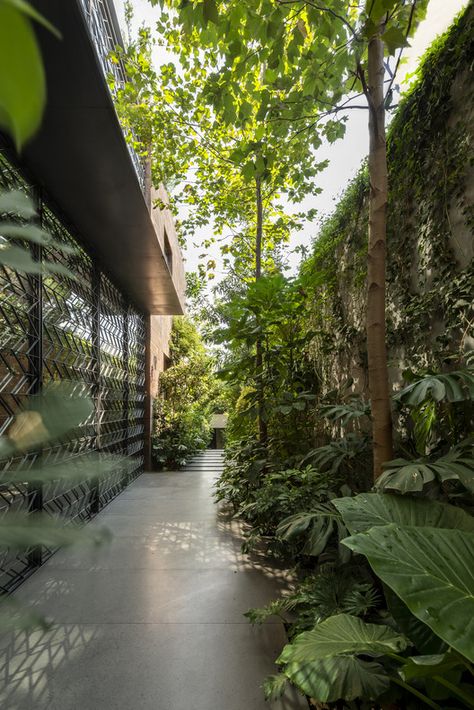 Gallery of 3 Patios House / Once Once Arquitectura - 10 Villa Landscaping, Side Patio, Patio Grande, Tropical Architecture, Tropical House, Ipoh, Glass Facades, Tropical Landscaping, Roof Garden