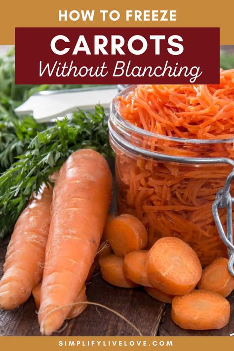 How to Freeze Carrots Without Blanching Canning Carrots Recipes, Pasta Sauce To Freeze, Preserve Carrots, Preserving Carrots, How To Freeze Carrots, Freezing Carrots, Canning Carrots, Stews And Soups, Canned Carrots