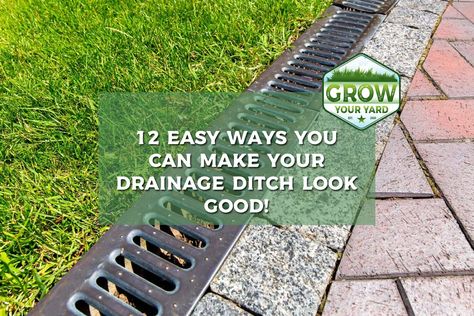 12 Easy Ways You Can Make a Drainage Ditch Look Good! Ditch Ideas, Rock Drainage, Yard Drain, Gutter Drainage, Drainage Grates, Outdoor Bridges, Patio Edging, Landscape Drainage, Backyard Drainage