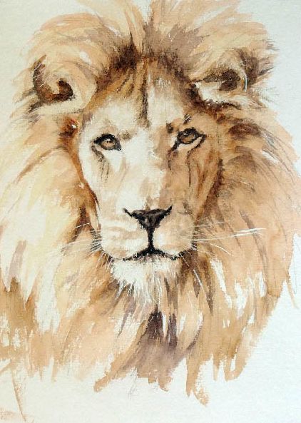 foxyflowerchild:    Lion by Geoff Dawson Lion Painting, Charcoal Drawings, Lion Art, Arte Animal, Watercolor Inspiration, African Animals, Watercolor Drawing, Watercolor Animals, Wildlife Art